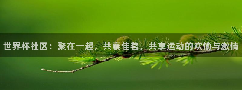 亚洲杯比赛直播:世界杯社区:聚在一起,共襄佳茗,共享运动的欢愉与激情