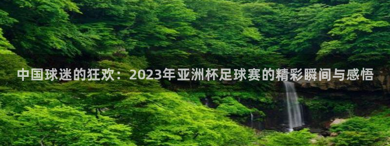 2026世界杯32强对阵图表:中国球迷的狂欢:2023年亚洲杯足球赛的精彩瞬间与感悟