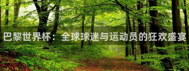 26世界杯:巴黎世界杯:全球球迷与运动员的狂欢盛宴