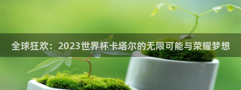 世界杯视频:全球狂欢:2023世界杯卡塔尔的无限可能与荣耀梦想