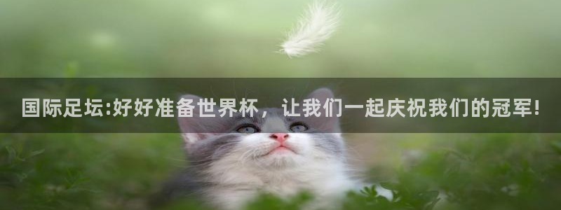 世界杯比赛赛程:国际足坛:好好准备世界杯,让我们一起庆祝我们的冠军!